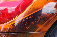 VW_Mania_2010_0249